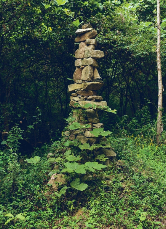 BOOK "MOUNTAIN HOUSE" #70433