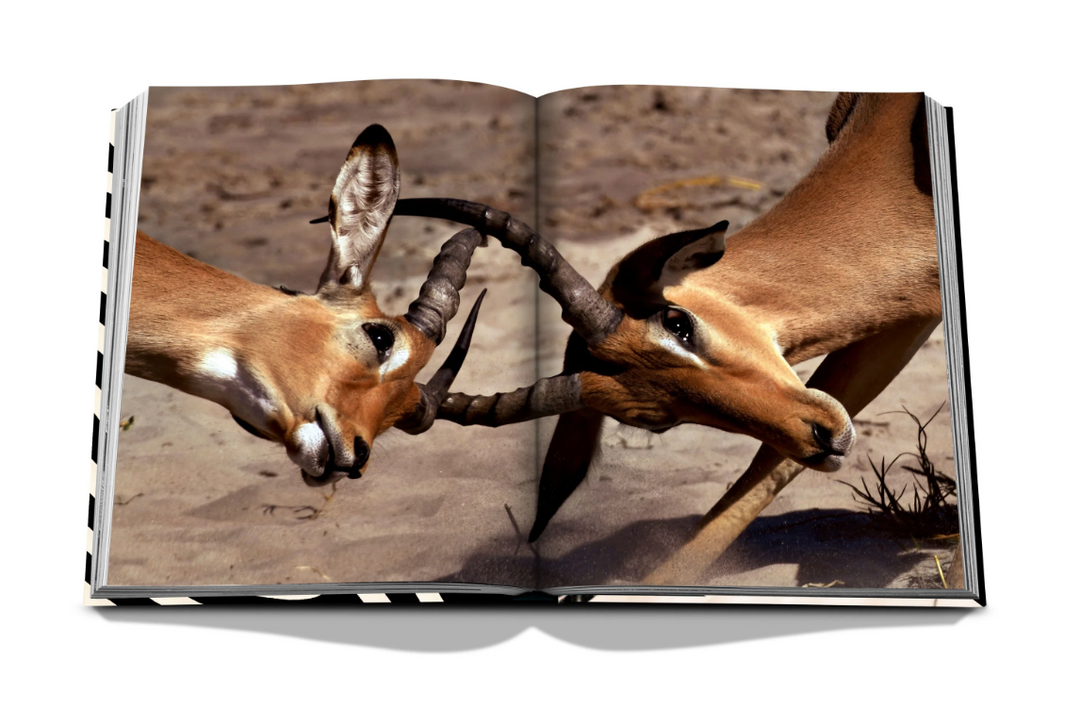 BOOK "AFRICAN ADVENTURES" #69525