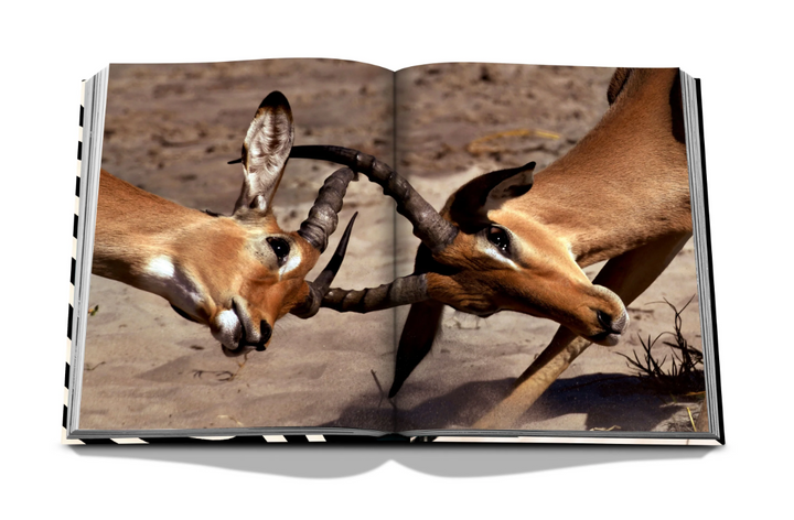 BOOK "AFRICAN ADVENTURES" #69525