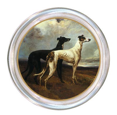 COASTER GREYHOUND