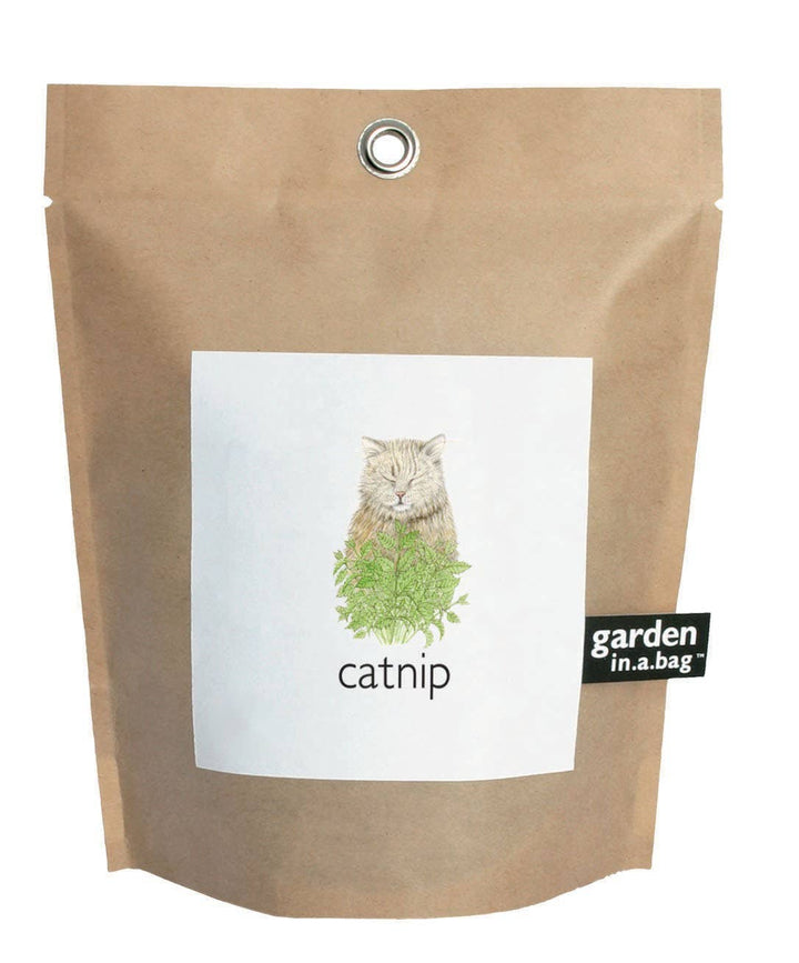 GARDEN IN A BAG CATNIP