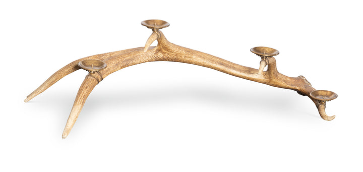 CANDLEHOLDER ANTLER