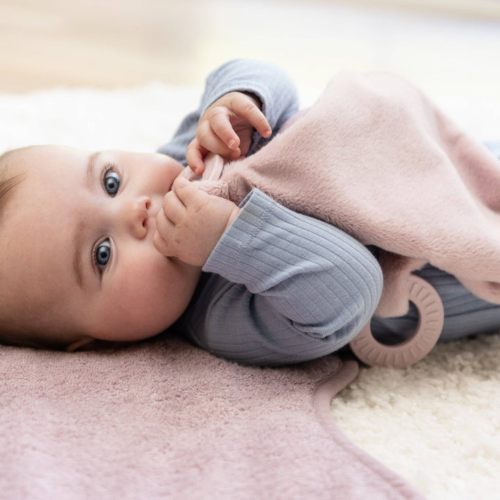 TEETHER BUDDY CHARLOTTE THE CAT