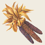 COCKTAIL NAPKIN MAIZE PK20 (NRD)