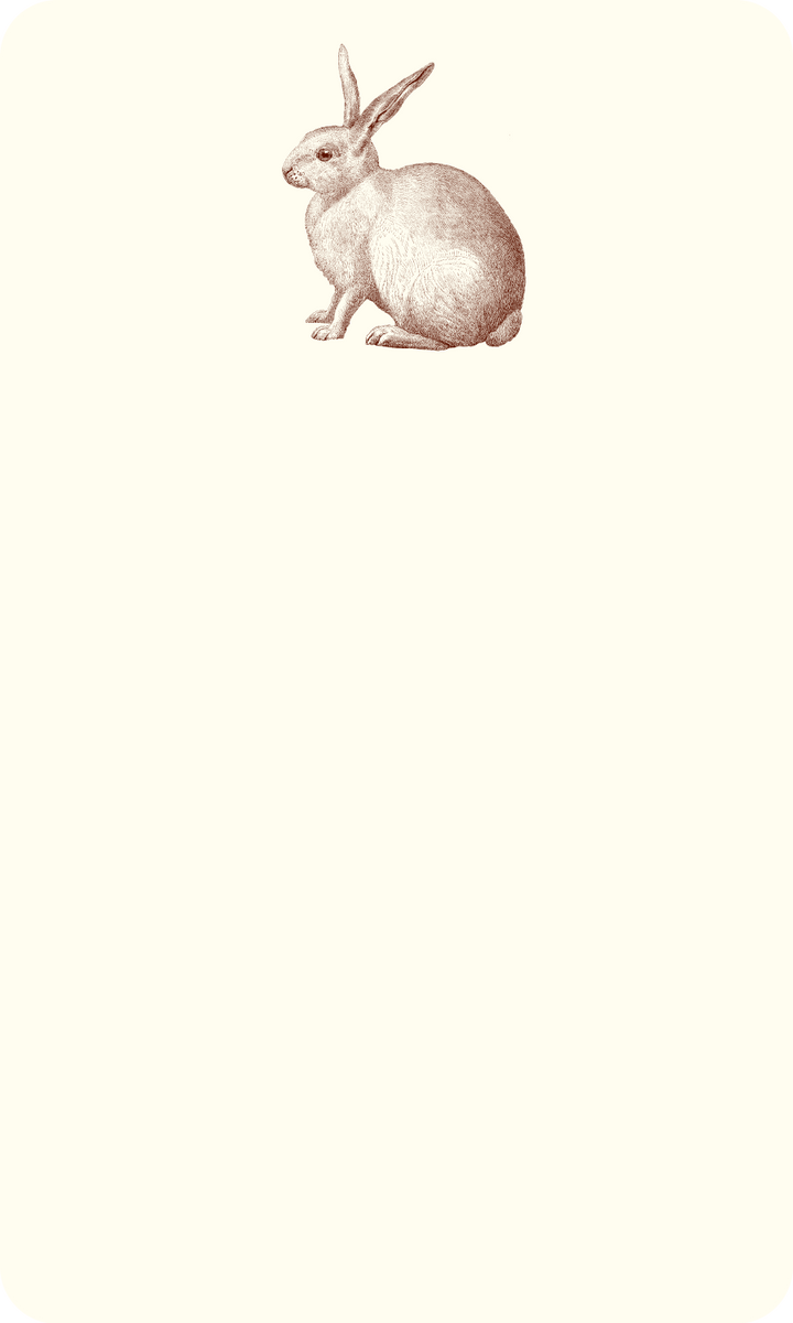 JOTTER RABBIT #78744