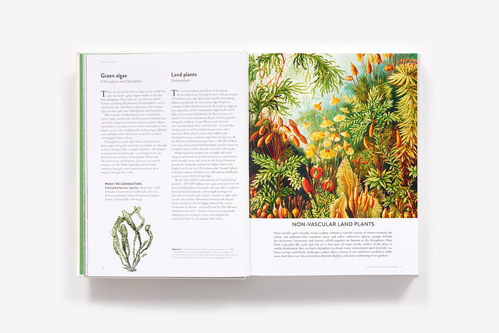BOOK THE BOTANICAL BIBLE
