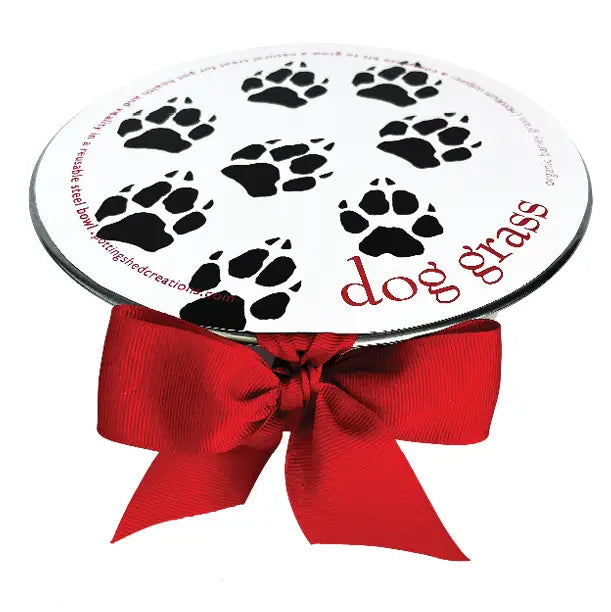PET BOWL DOG GRASS