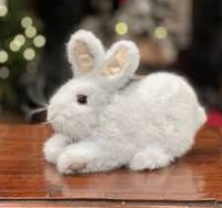 RABBIT BABY SNOWSHOE