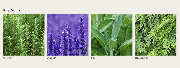 REED DIFFUSER CEDAR LEAF & LAVENDER #27499