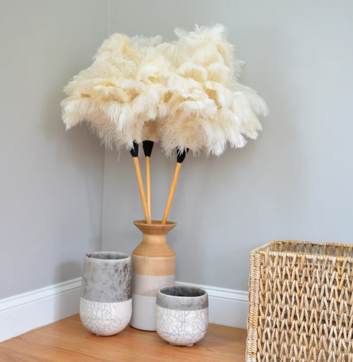 FEATHER DUSTER CREAM #77107
