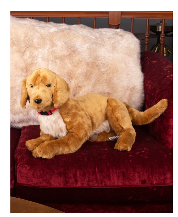 DOG BEST FRIEND GOLDEN RETRIEVER