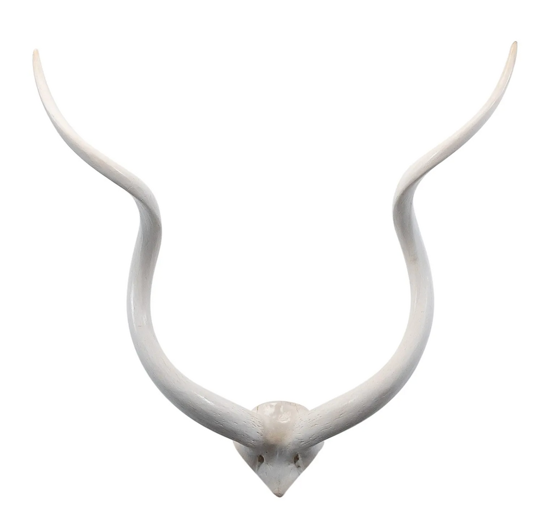 HORNS WHITE FULL SCULL IMPALA LG