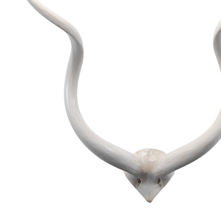 HORNS WHITE FULL SCULL IMPALA LG
