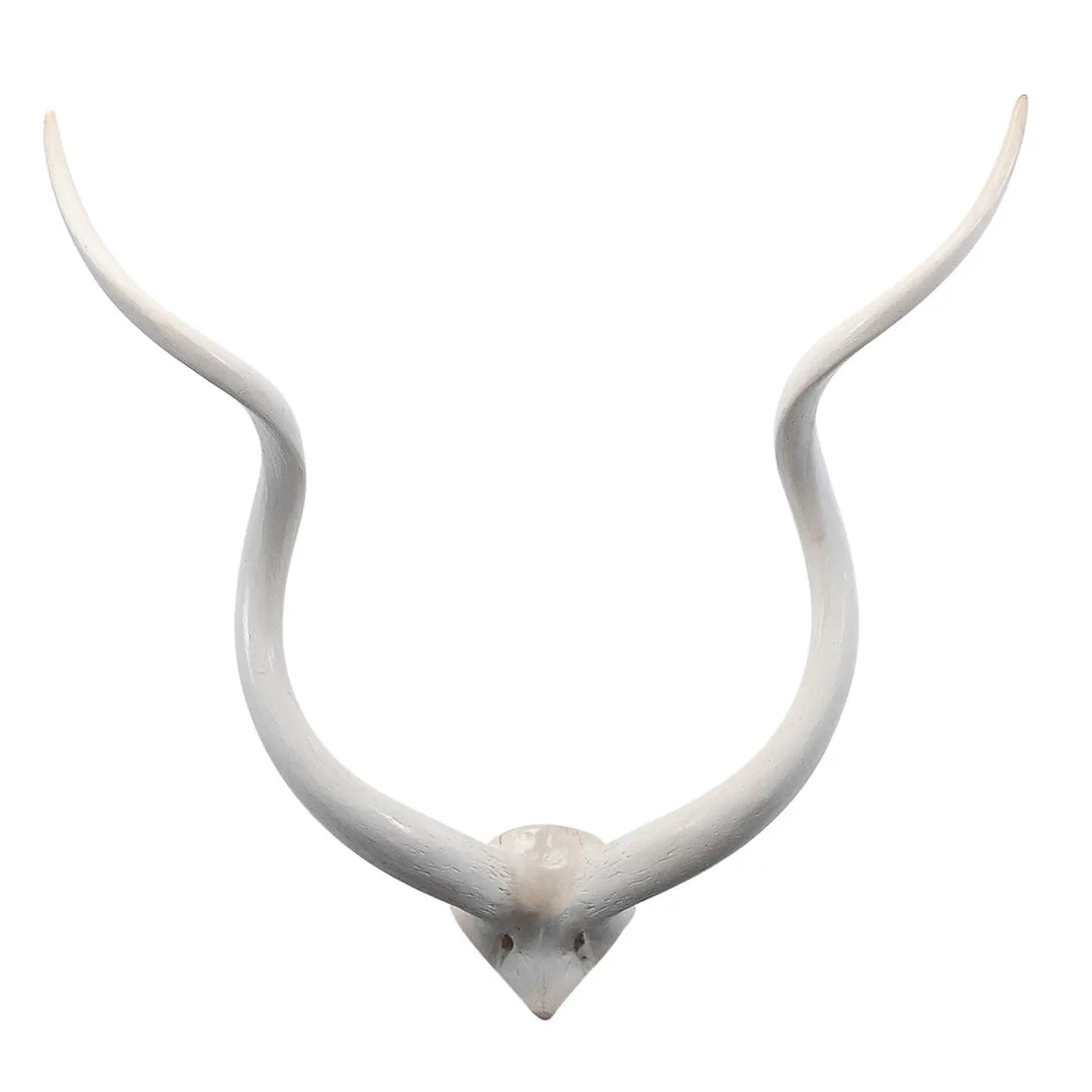 HORNS WHITE V SKULL INNER KUDU MEDIUM