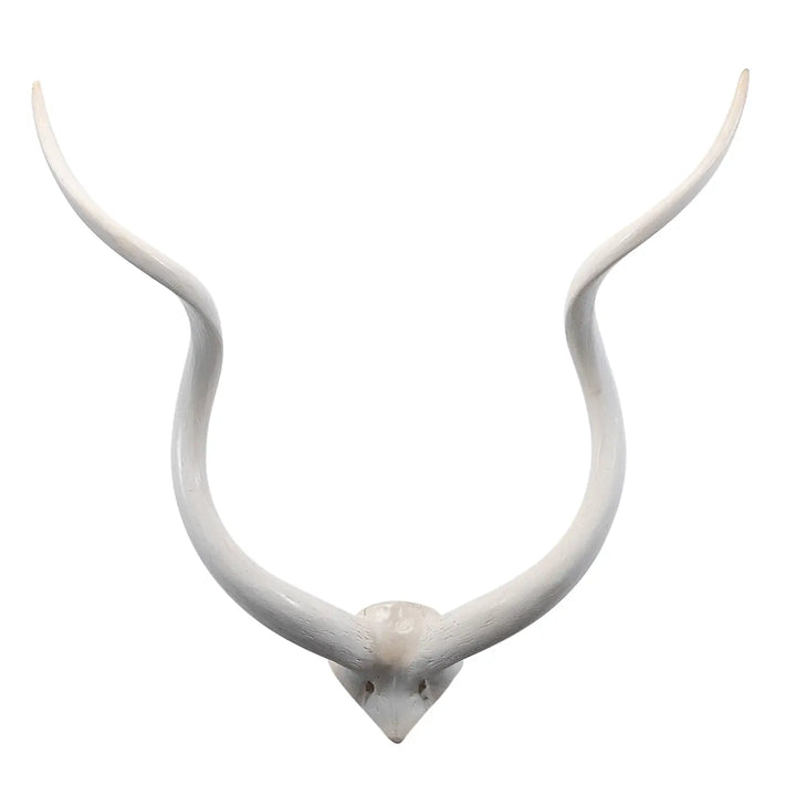 HORNS WHITE V SKULL INNER KUDU MEDIUM