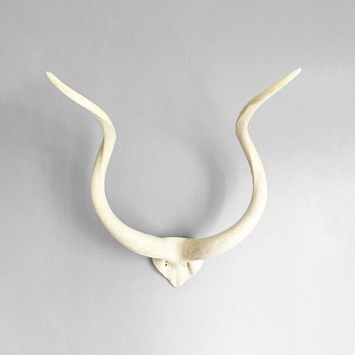 HORNS WHITE V SKULL INNER KUDU MEDIUM