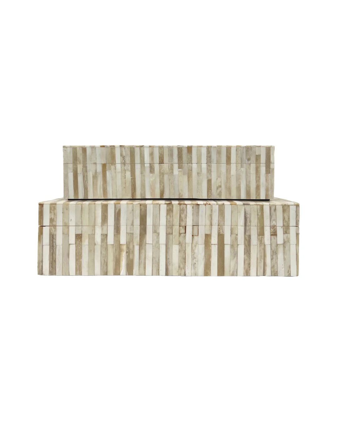 BOX BONE WHITE HUE