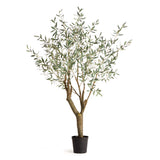 GRAND OLIVE TREE DROP-IN 6'6"