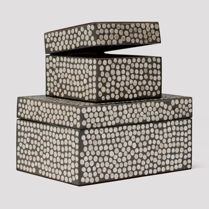 ALBUS BOX SET