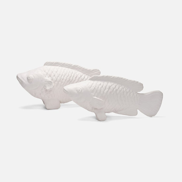 CRAWFORD OBJECT S/2