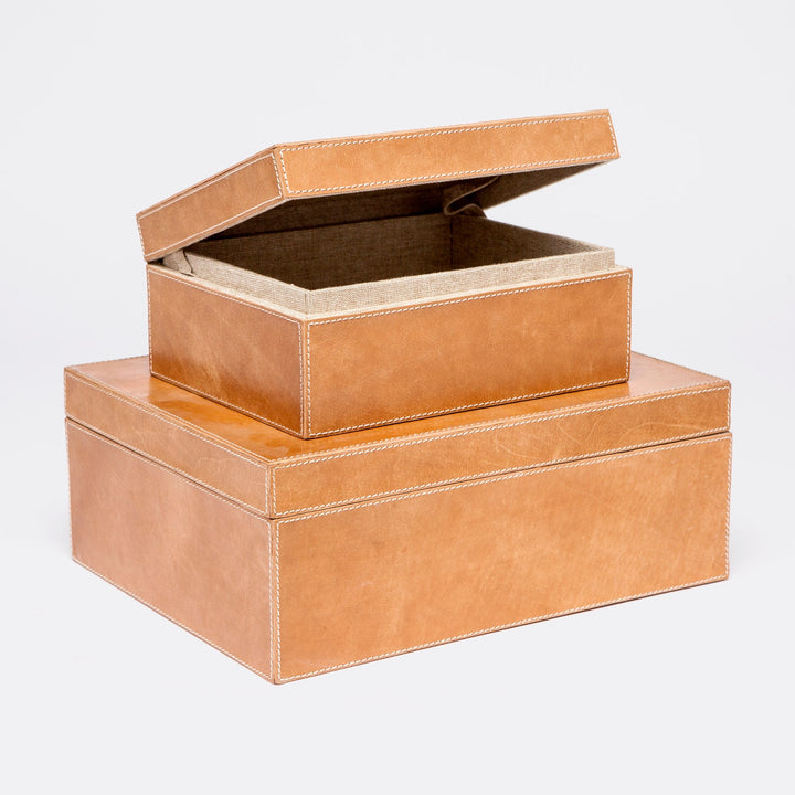 DANTE BOX SET