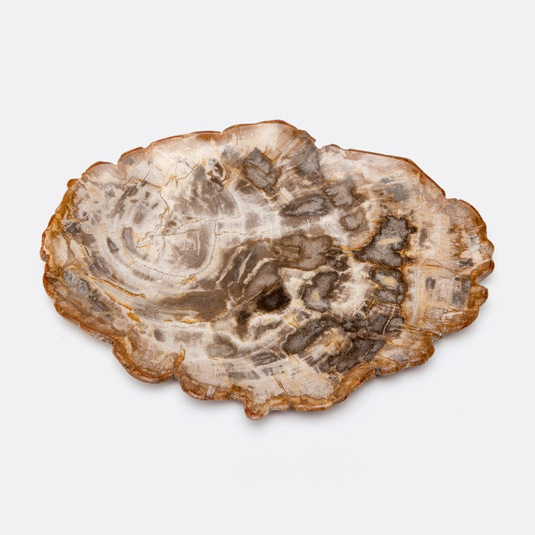 DASHIELL TRAY