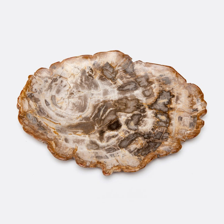DASHIELL TRAY