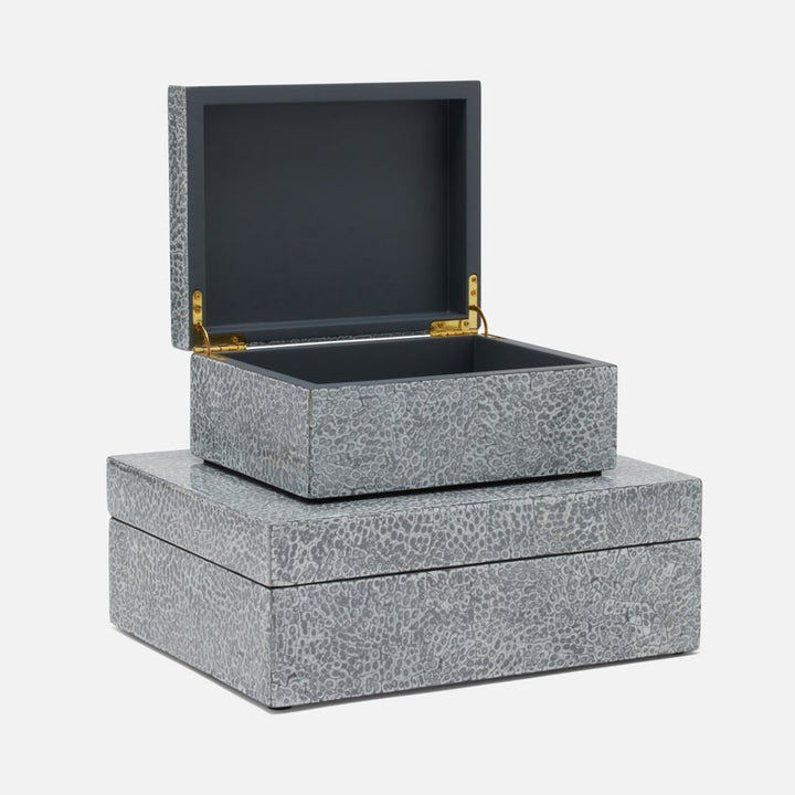 DELLA BOX SET