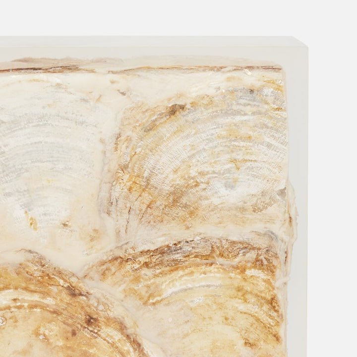ELARA BOOKEND S/2