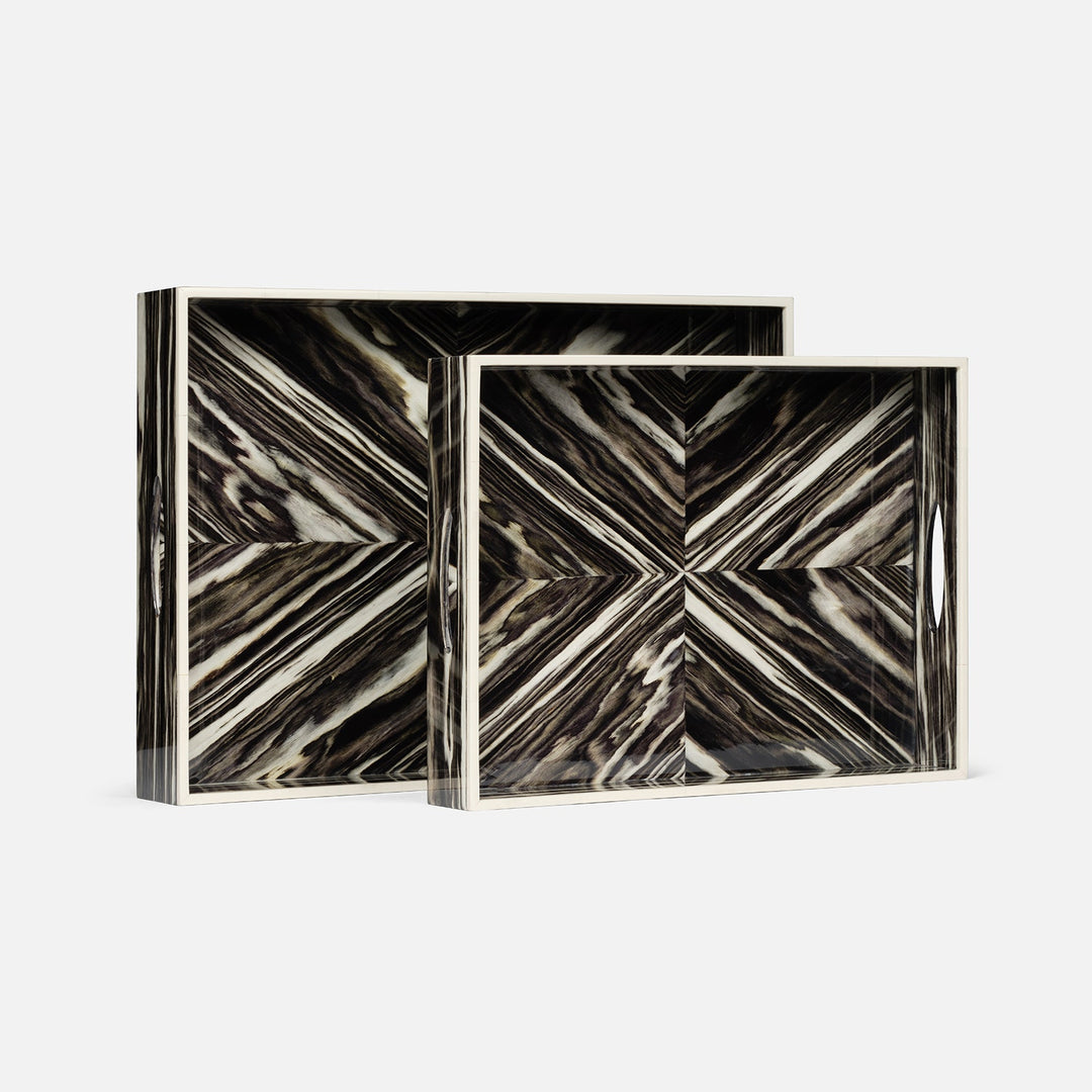 IAN TRAY S/2