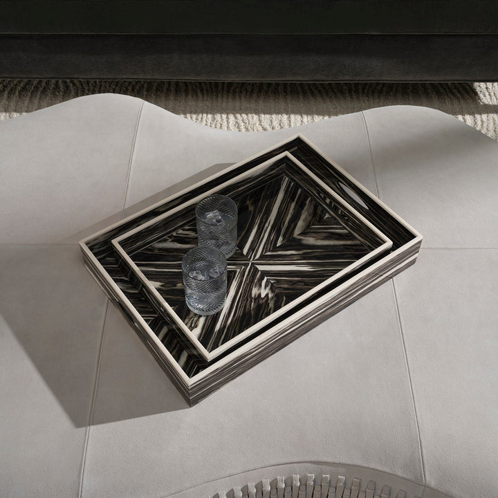 IAN TRAY S/2