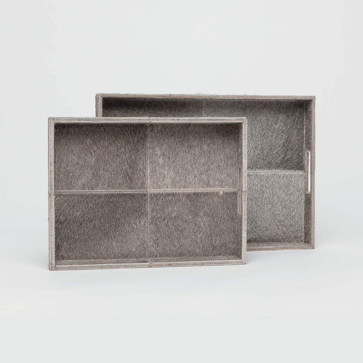 RENARD TRAY S/2