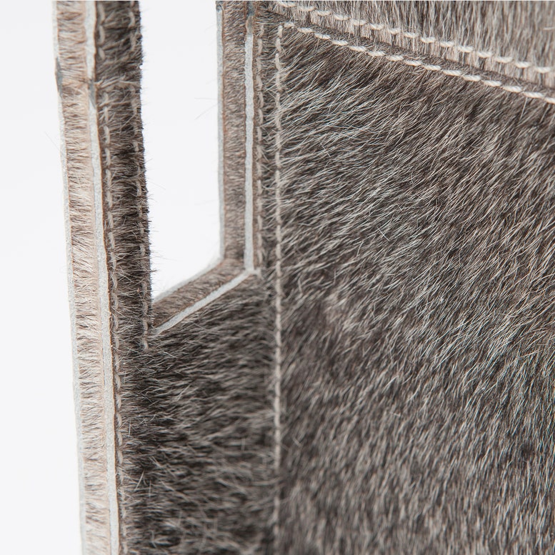 RENARD TRAY S/2