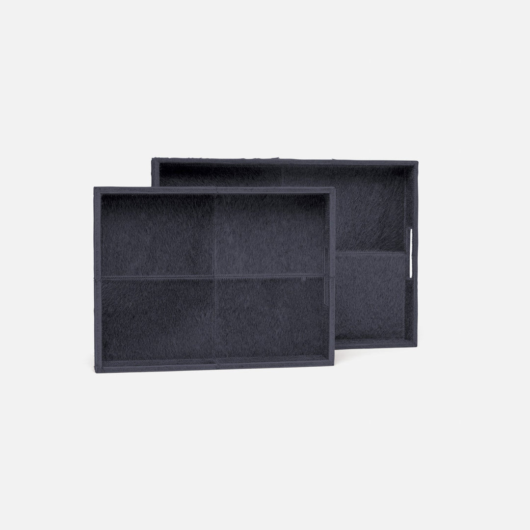 RENARD TRAY S/2