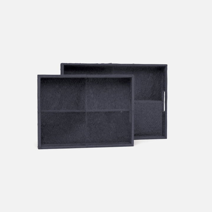 RENARD TRAY S/2
