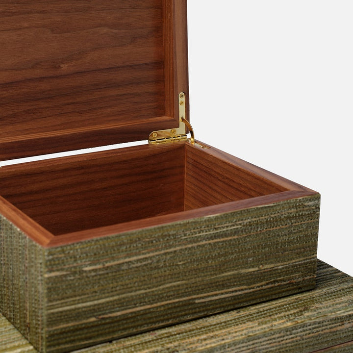 VELMA BOX SET