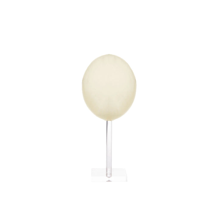 OSTRICH EGGS NATURAL ACRYLIC STAND