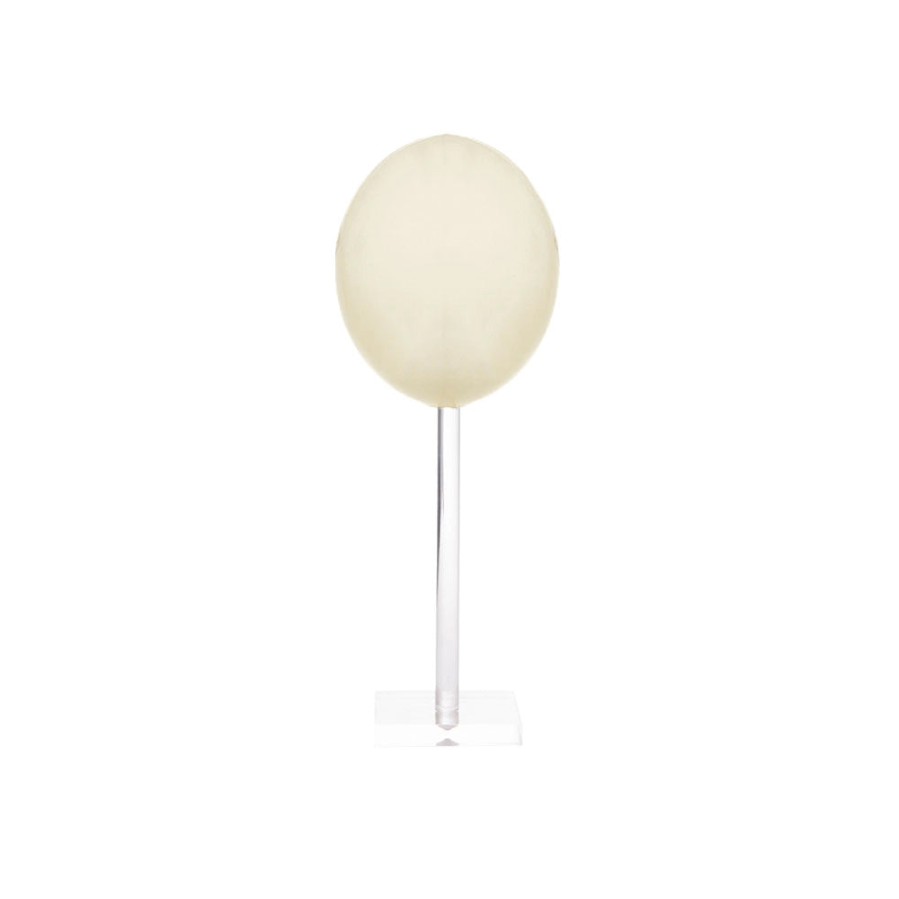 OSTRICH EGGS NATURAL ACRYLIC STAND