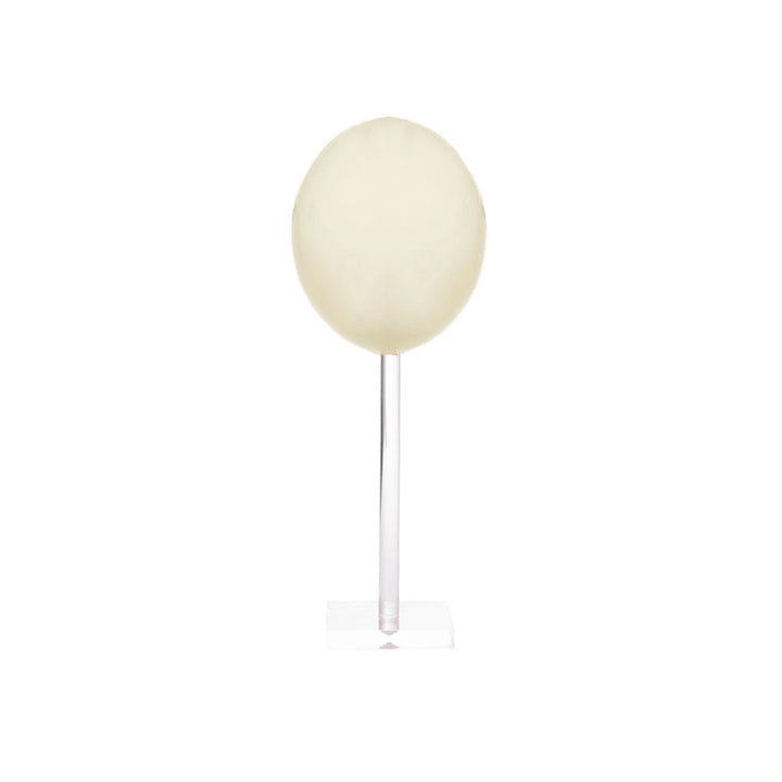 OSTRICH EGGS NATURAL ACRYLIC STAND