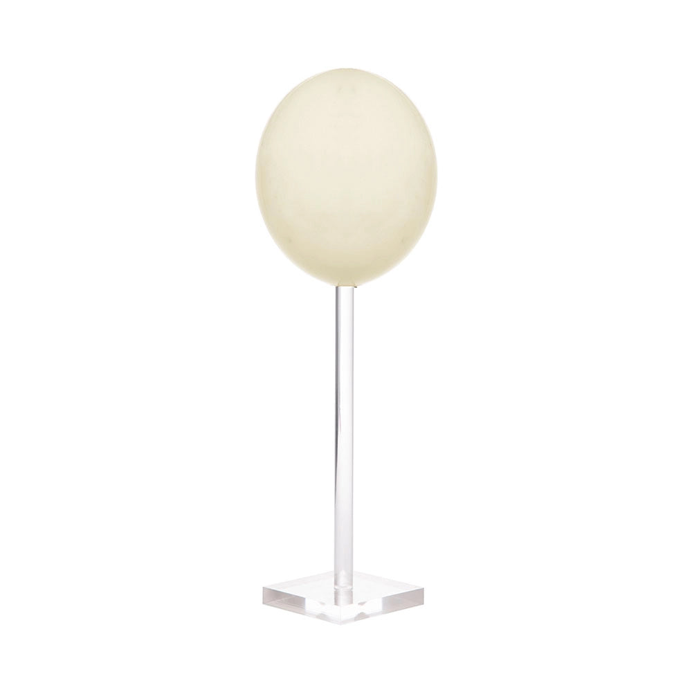 OSTRICH EGGS NATURAL ACRYLIC STAND