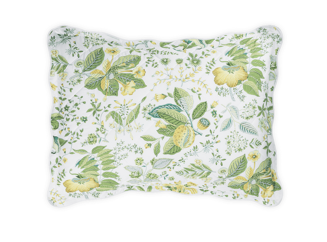 POMEGRANATE BEDDING COLLECTION