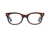 READERS BIXBY TURTLE