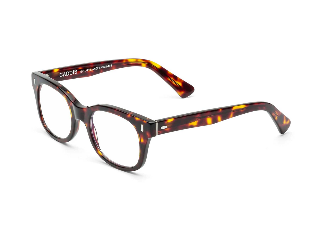 READERS BIXBY TURTLE