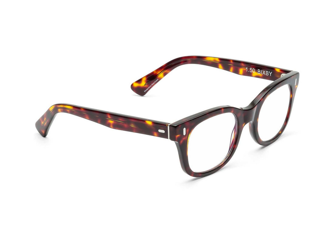 READERS BIXBY TURTLE