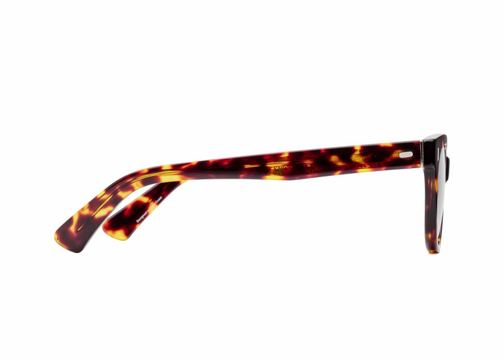 READERS BIXBY TURTLE