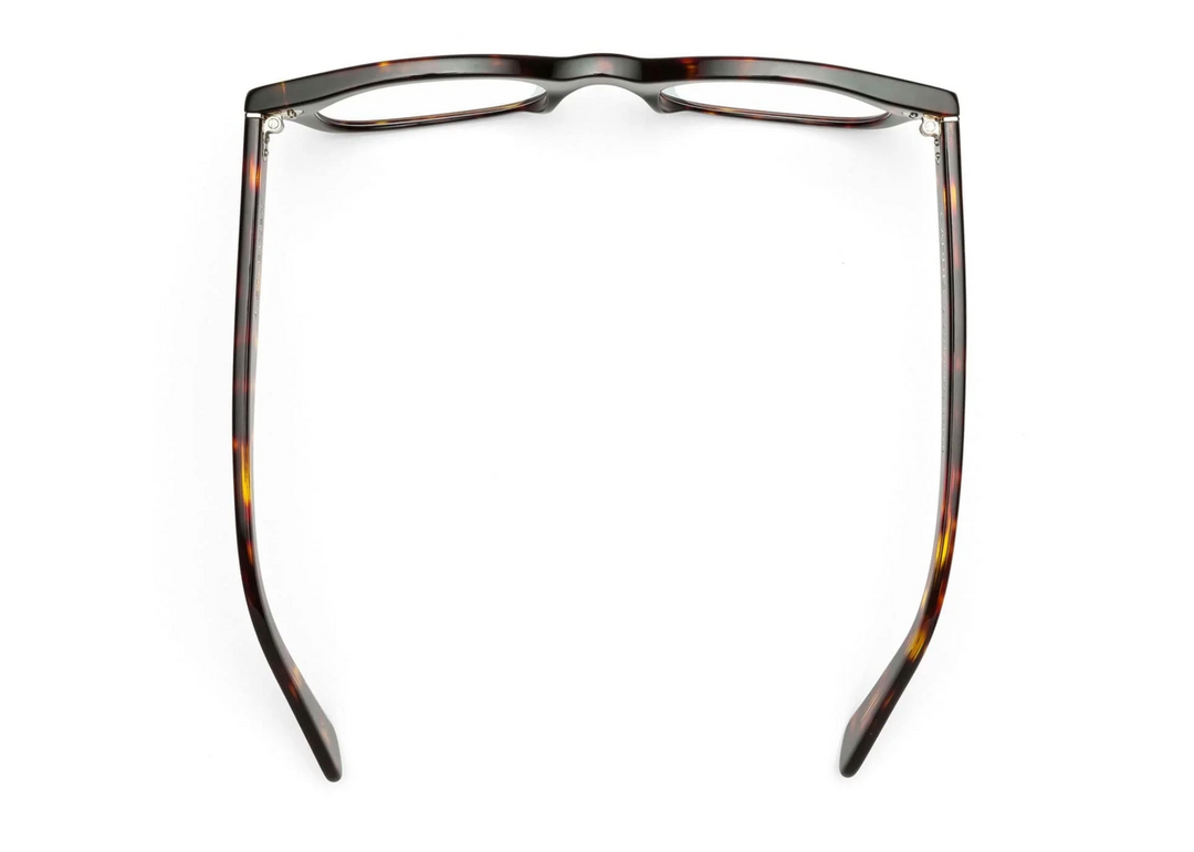 READERS BIXBY TURTLE