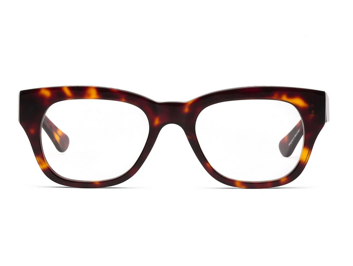 READERS MIKLOS TURTLE