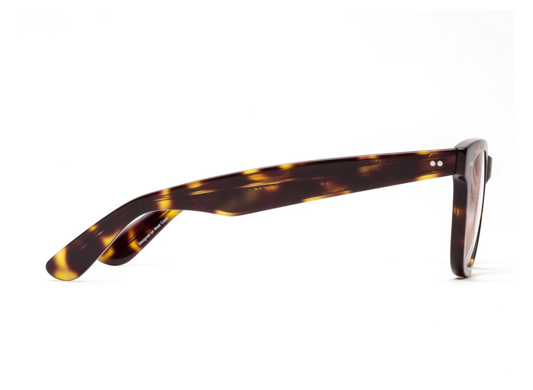 READERS PORGY TURTLE