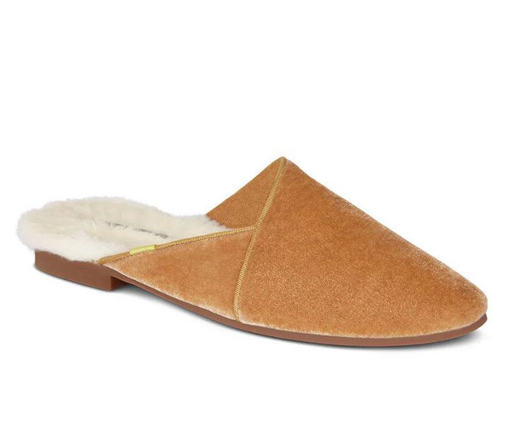 THE DEVON IN CAMEL