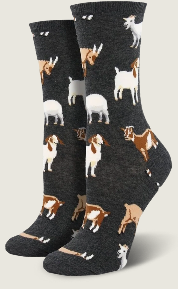 SOCKS SILLY BILLY CHARCOAL HEATHER